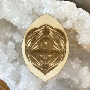 L&rsquo;anatomie de la Yoni