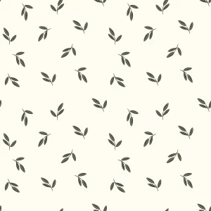 Popeline de coton Oliviers