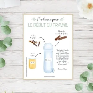 Mémo Phyto – Tisane des premières contractions