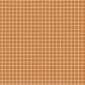 Coton Carro (3 coloris)