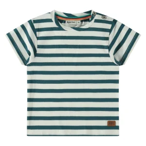 T shirt Basil Gourde