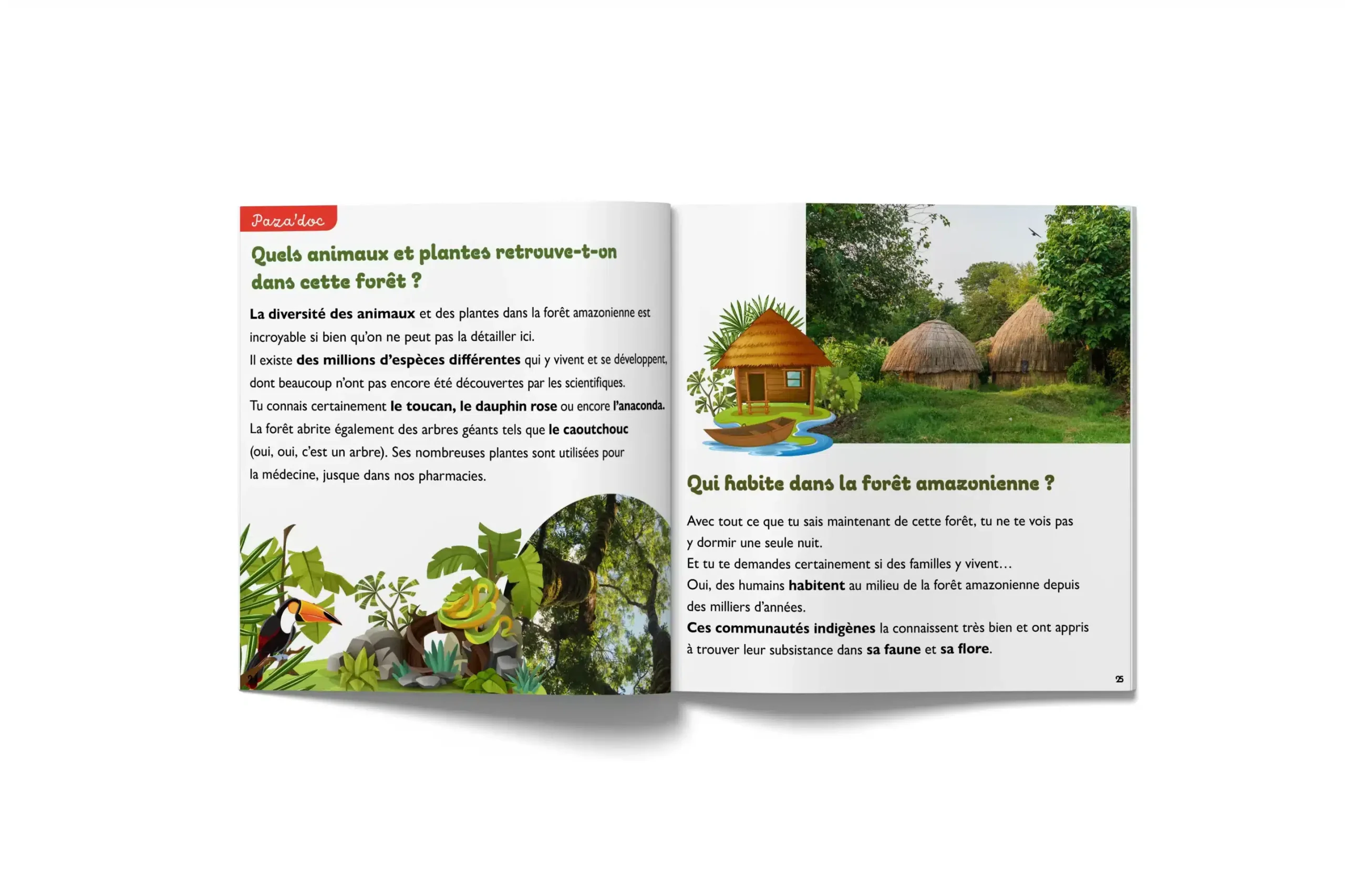 MON PREMIER PAZA’MAG – LA FORÊT AMAZONIENNE : un documentaire enfant ludique et complet sur la faune de l’Amazonie – Image 2