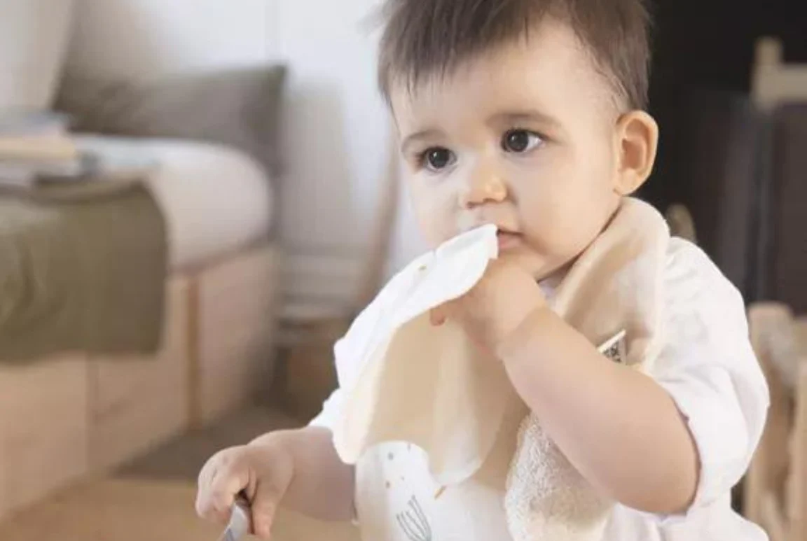 Lingettes lavables en coton bio (par 5) – Image 2