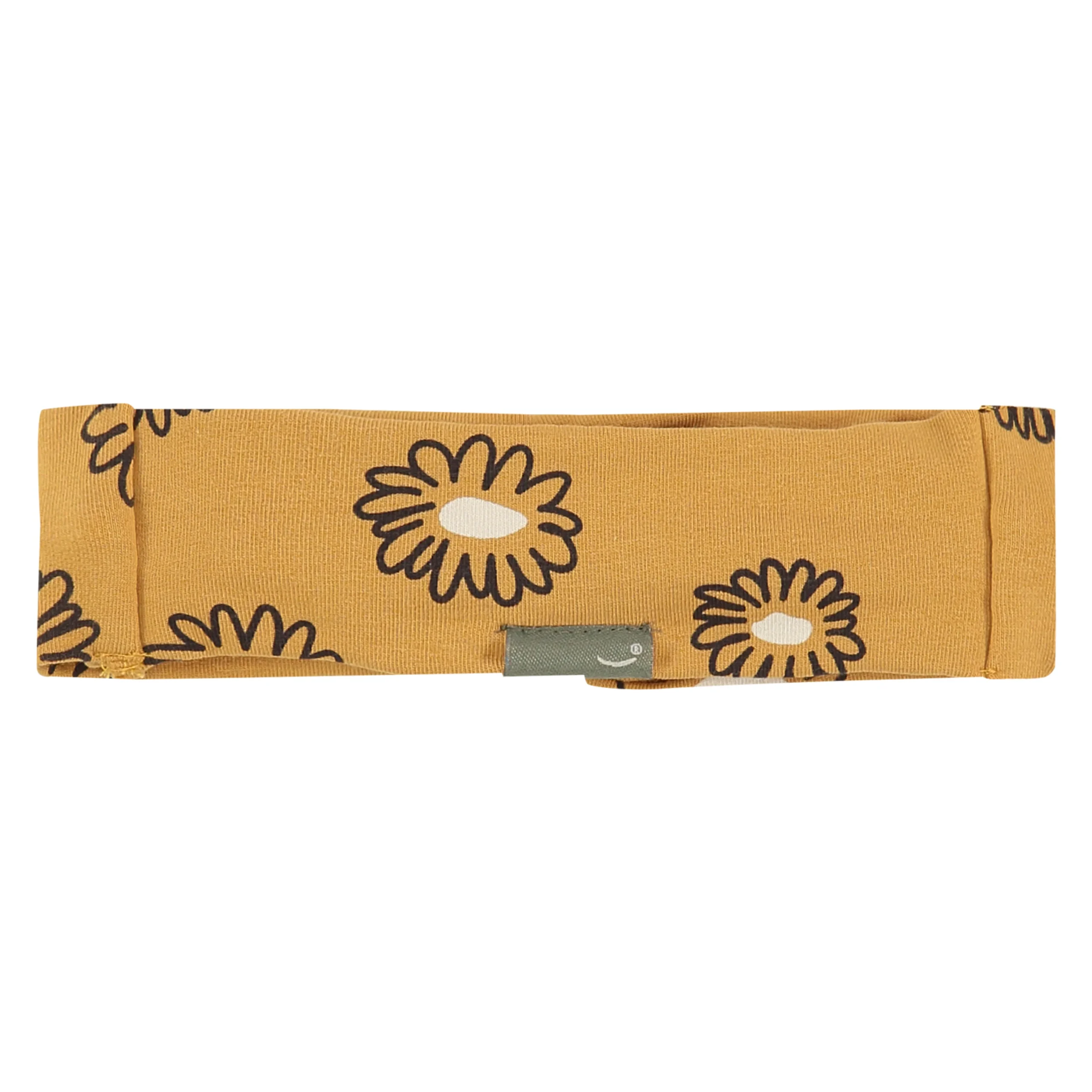 Bandeau DAISY – Image 2