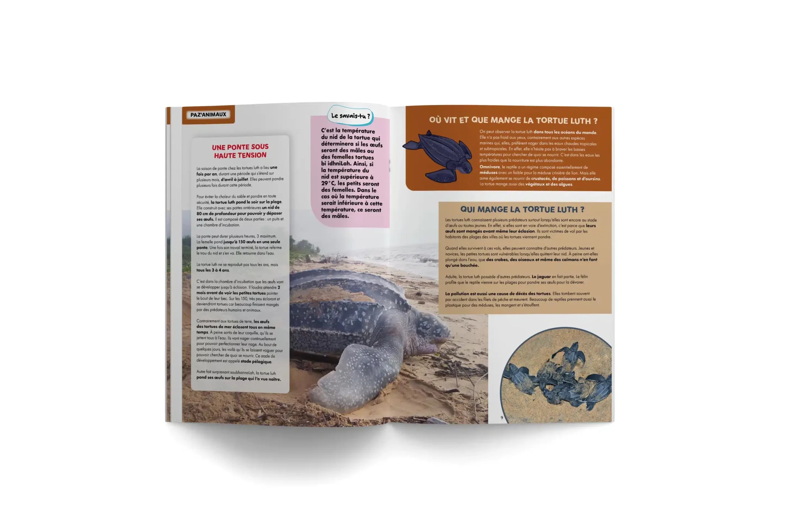 PAZA’MAG – Le Monde sous-marin : LE magazine enfant musulman vous donne rendez-vous à vingt mille lieues sous les mers – Image 2