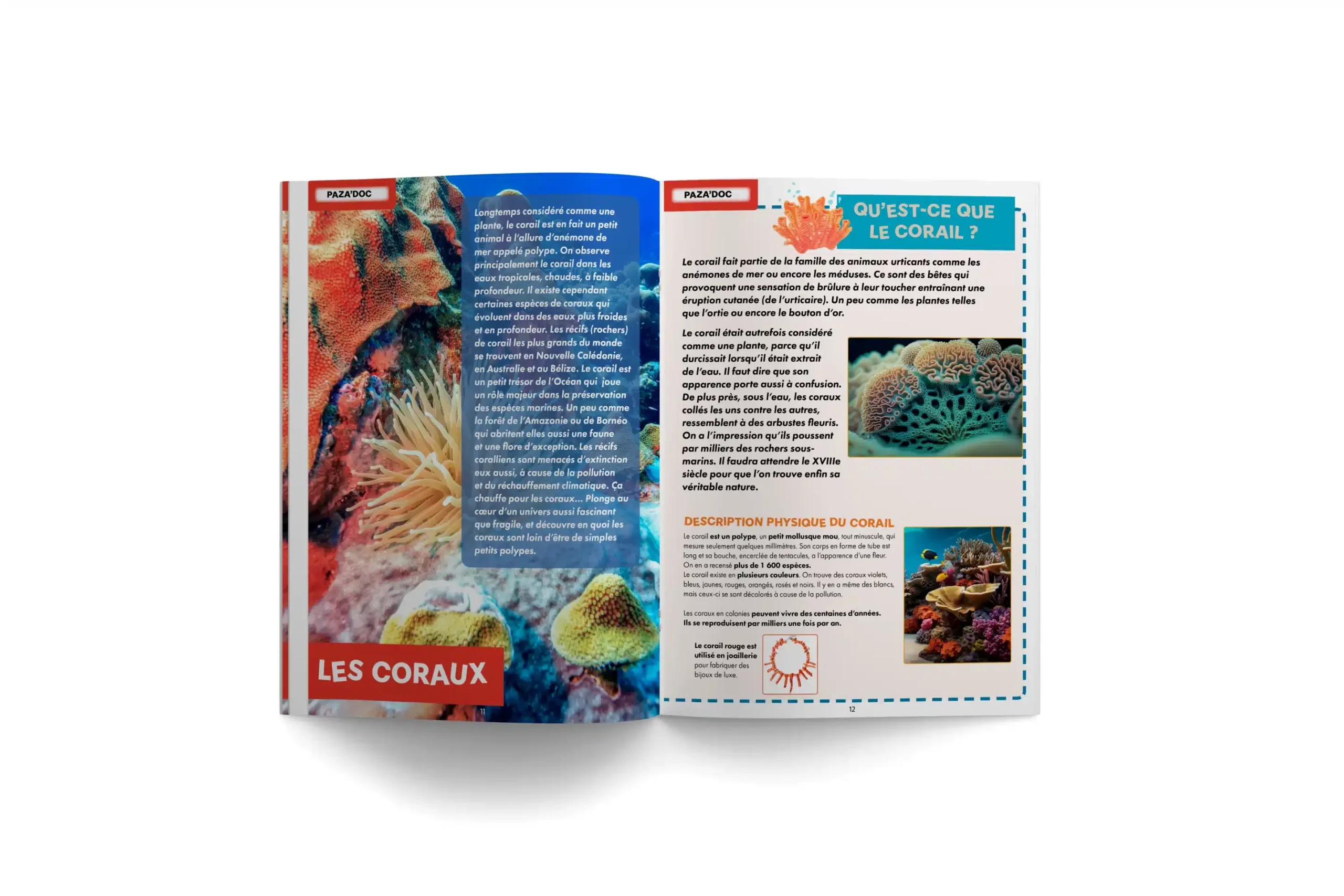 PAZA’MAG – Le Monde sous-marin : LE magazine enfant musulman vous donne rendez-vous à vingt mille lieues sous les mers – Image 3