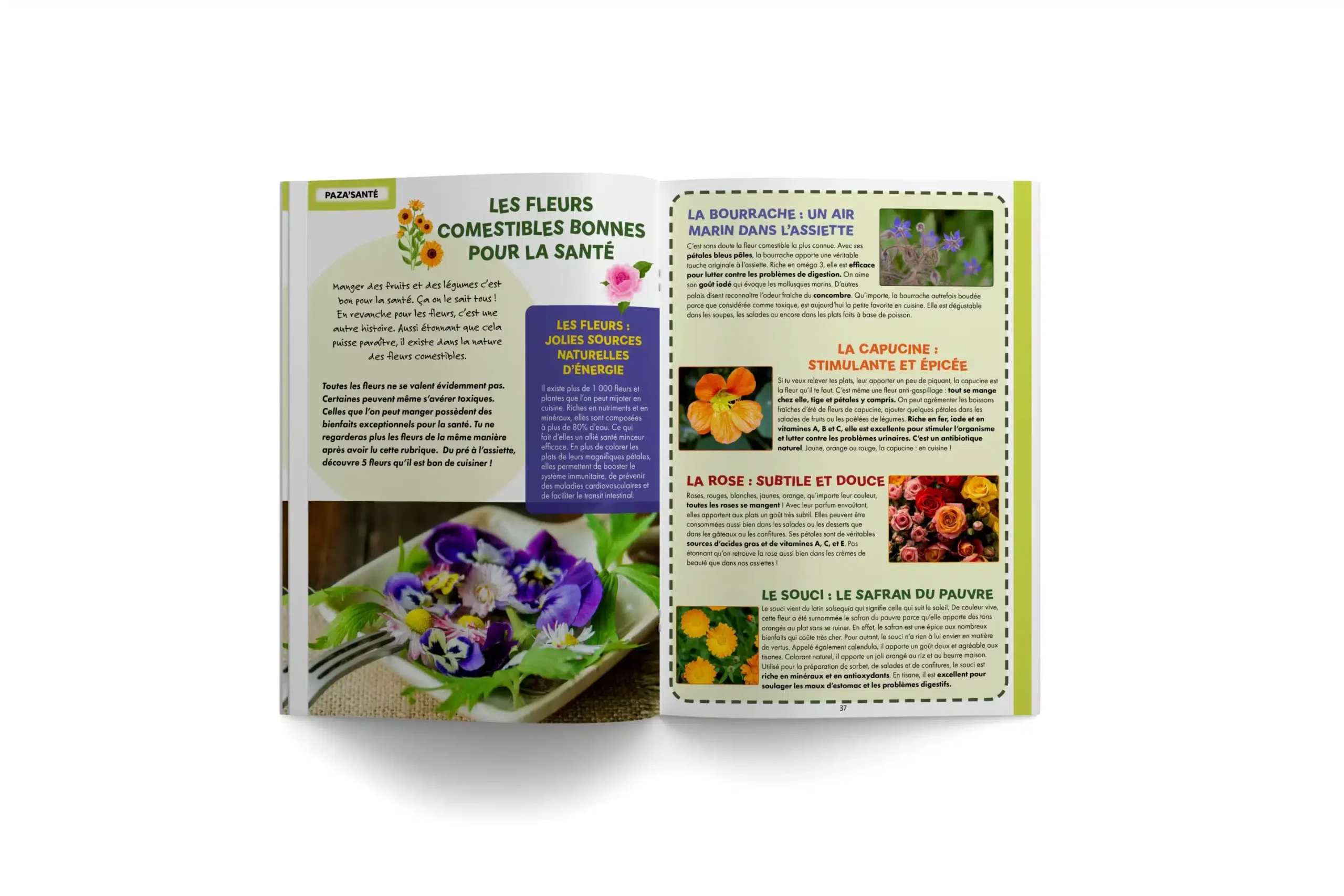 PAZA’MAG – Le Royaume des fleurs : LE magazine enfant musulman pour vous envoler dans le monde des fleurs, un royaume coloré, aux 1001 senteurs ! – Image 3