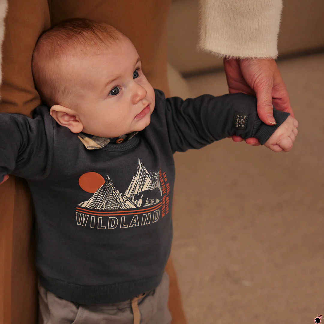 Sweat Thijs Bleu – Image 3