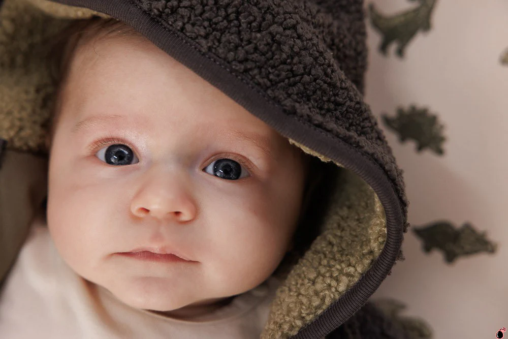 Veste Rawrsome Vert – Image 5