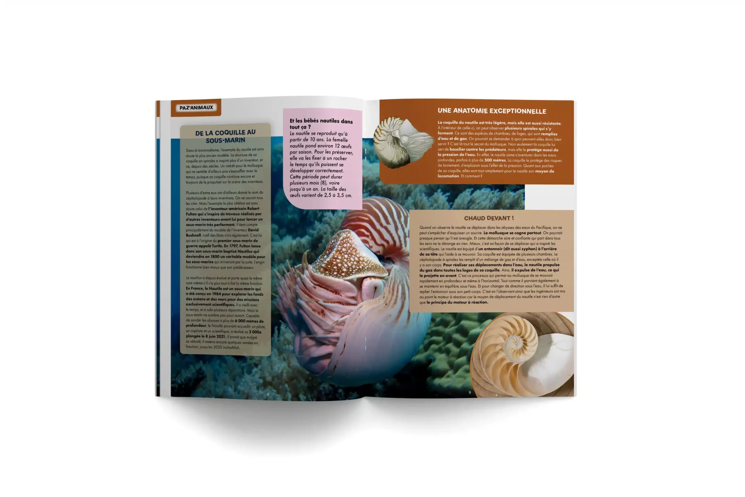 PAZA’MAG – Bio-inspiration : LE magazine des enfants musulmans vous livre tous les secrets de cette innovation et de son impact sur nos avancées technologiques. – Image 2