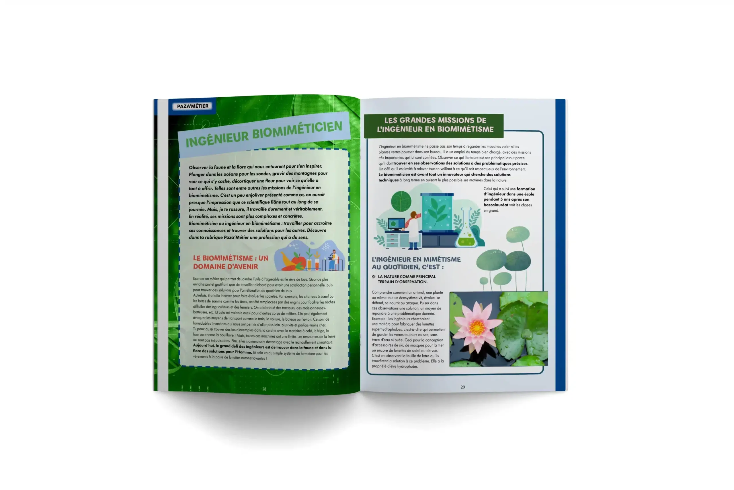 PAZA’MAG – Bio-inspiration : LE magazine des enfants musulmans vous livre tous les secrets de cette innovation et de son impact sur nos avancées technologiques. – Image 3