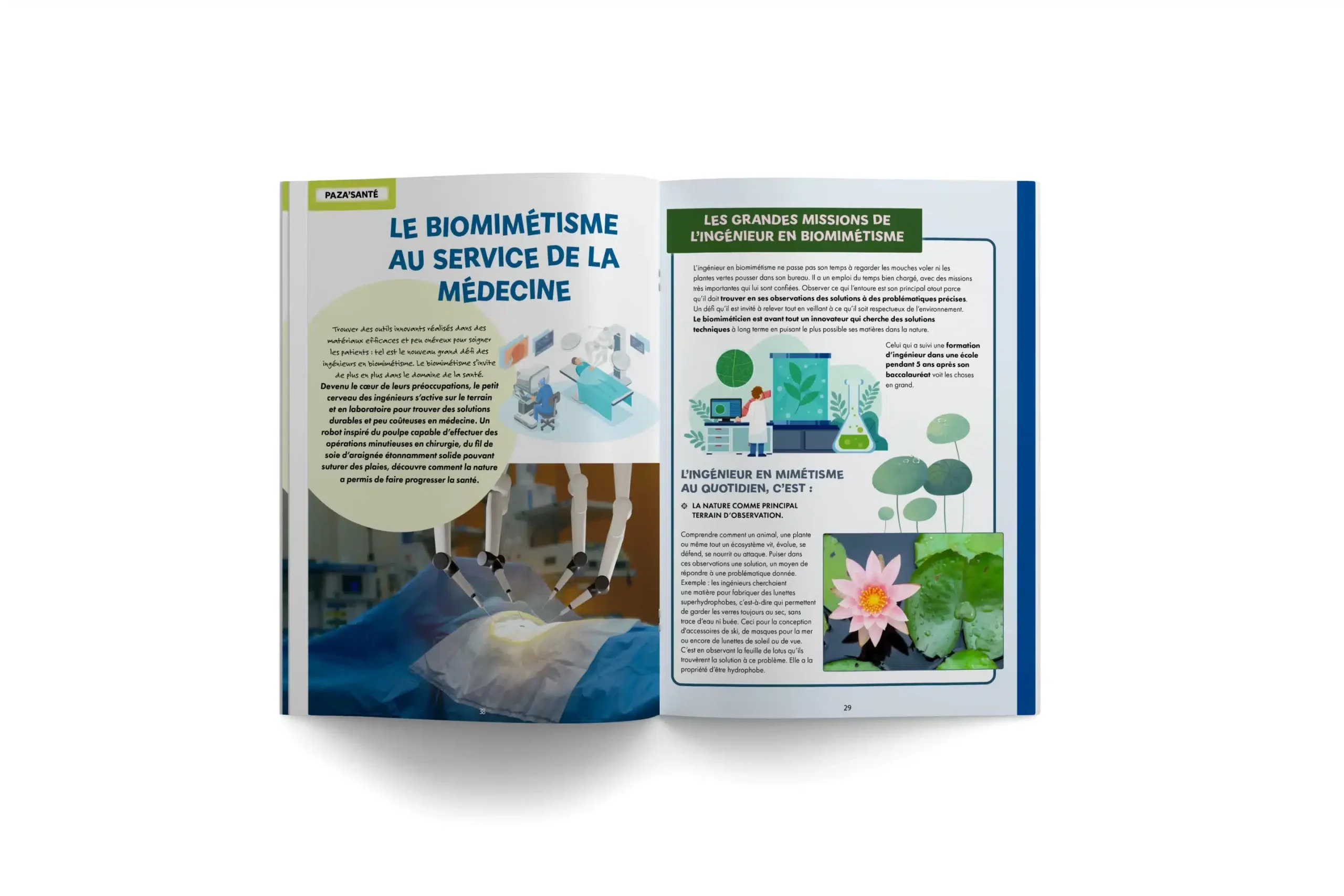 PAZA’MAG – Bio-inspiration : LE magazine des enfants musulmans vous livre tous les secrets de cette innovation et de son impact sur nos avancées technologiques. – Image 4