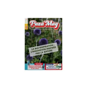PAZA’MAG – Bio-inspiration : LE magazine des enfants musulmans vous livre tous les secrets de cette innovation et de son impact sur nos avancées technologiques.