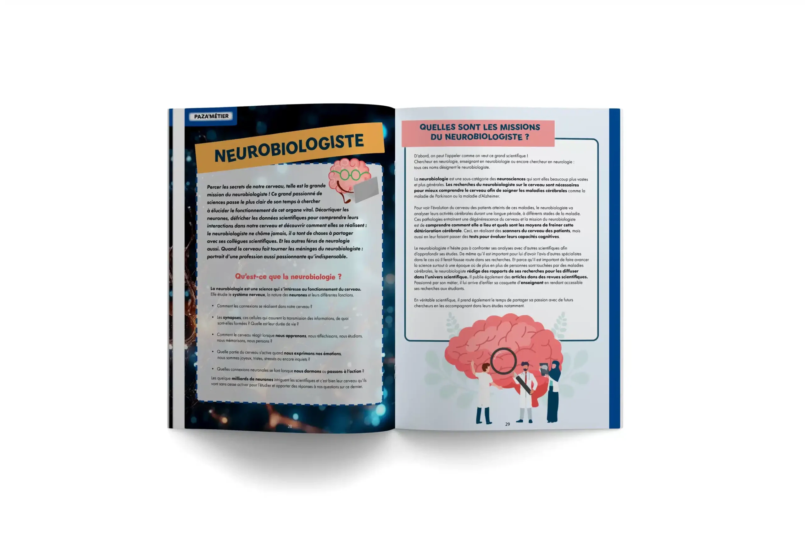 PAZA’MAG – Apprendre, ça s’apprend : LE magazine pour enfant musulman vous révèle de nombreux secrets sur le cerveau – Image 3