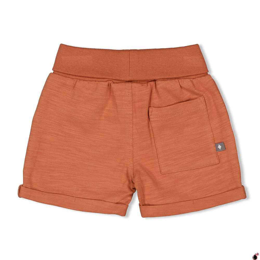 Short Adventurer Brique – Image 3